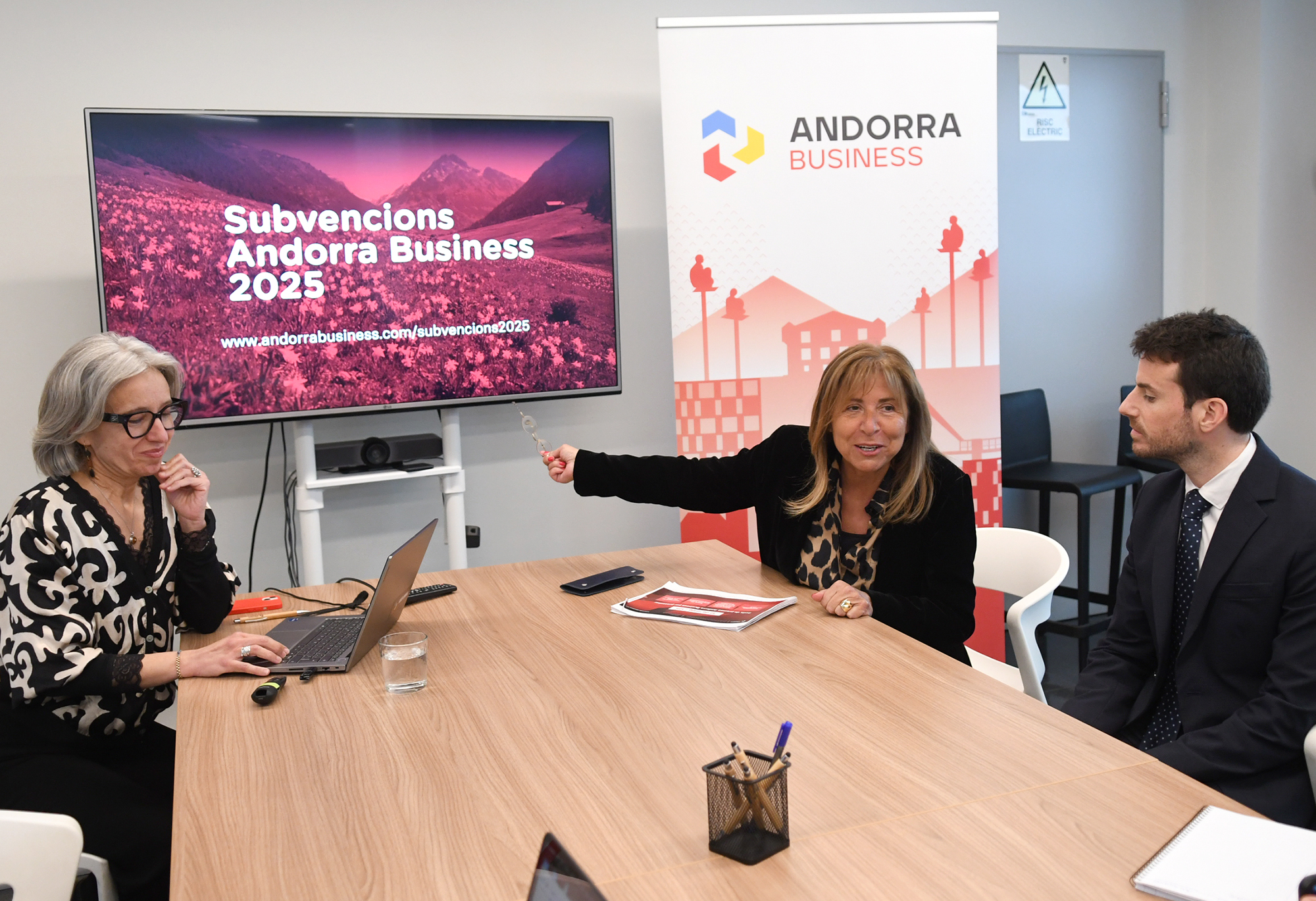 Marsol Andorra Business subvencions