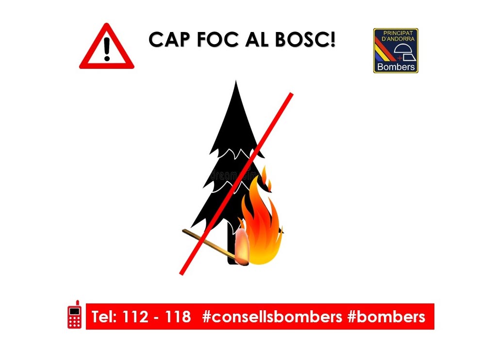 Cap Foc al Bosc