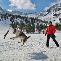 Reciclatge general G.R.C.