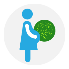 La dona embarassada pot infectar el seu fill durant l'embaràs, en el moment del part o en la lactància. (Ex: infecció pel VIH, hepatitis B i sífilis).