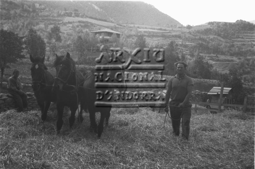 CR-0721: Batent amb cavalls