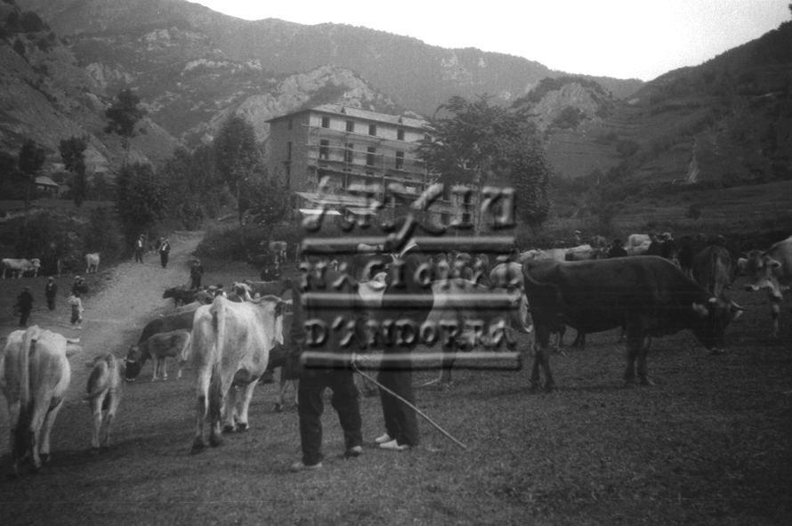 CR-0776: Fira de bestiar a Ordino