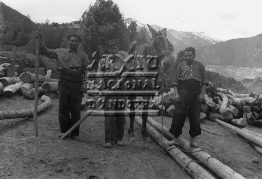 CR-0786: Llenyataires