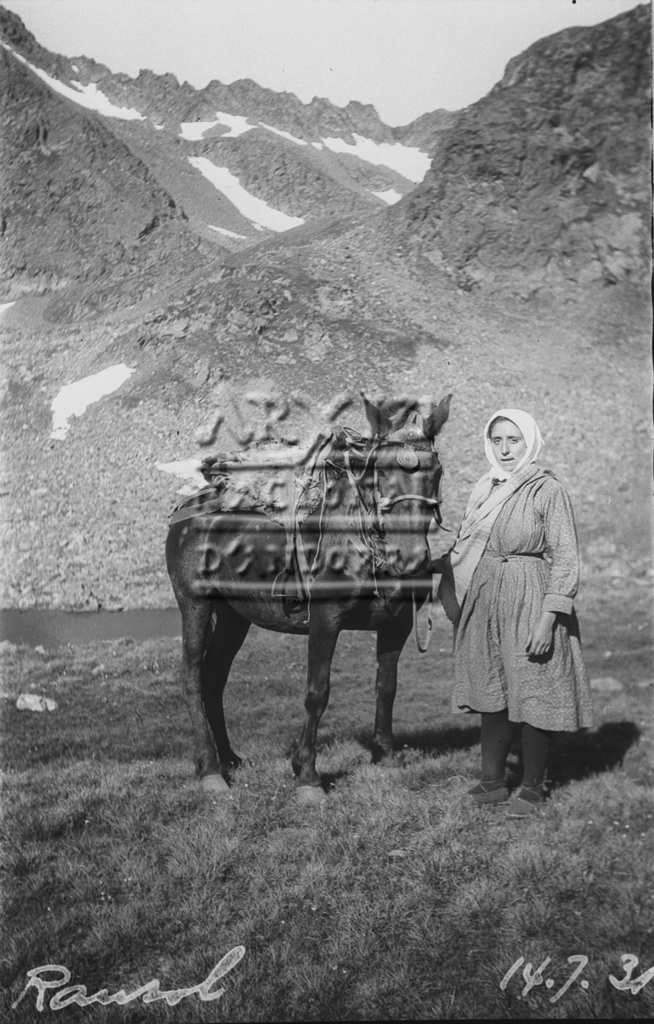 FEDA-404: Una dona amb un matxo