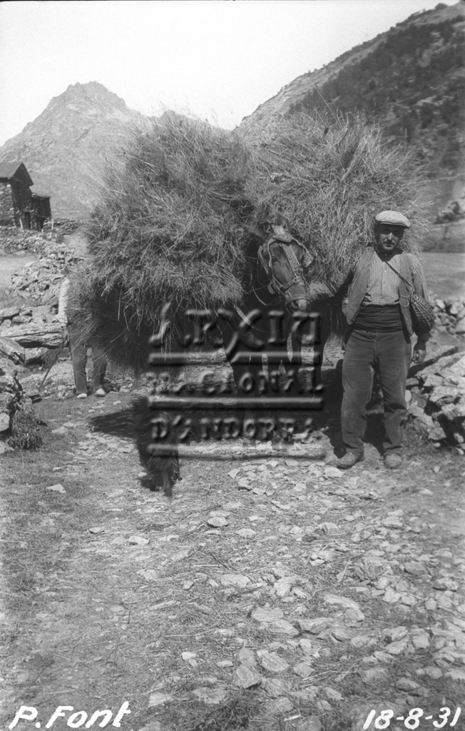 FEDA-406: Un camperol amb un matxo carregat d’herba a la vall d’Incles