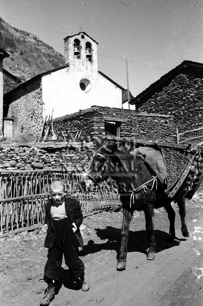 FL 013: Un nen, a Llorts (Ordino), caminant amb un matxo carregat amb uns àrguens