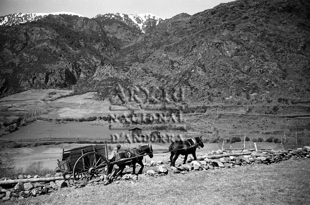 FL 021: Un home amb un carro al camí d’Arans