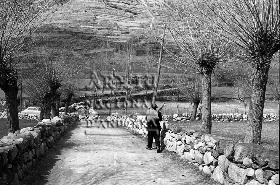 FL 160: Un home al camí d’Encamp