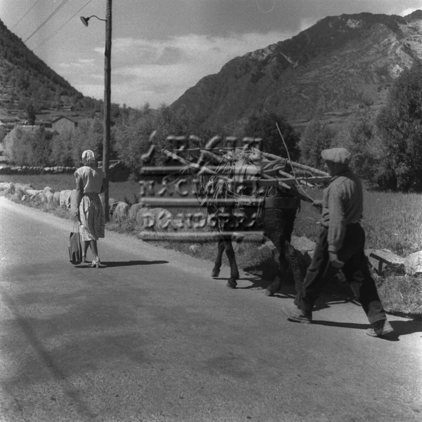 FJR_174: Tradició i turisme