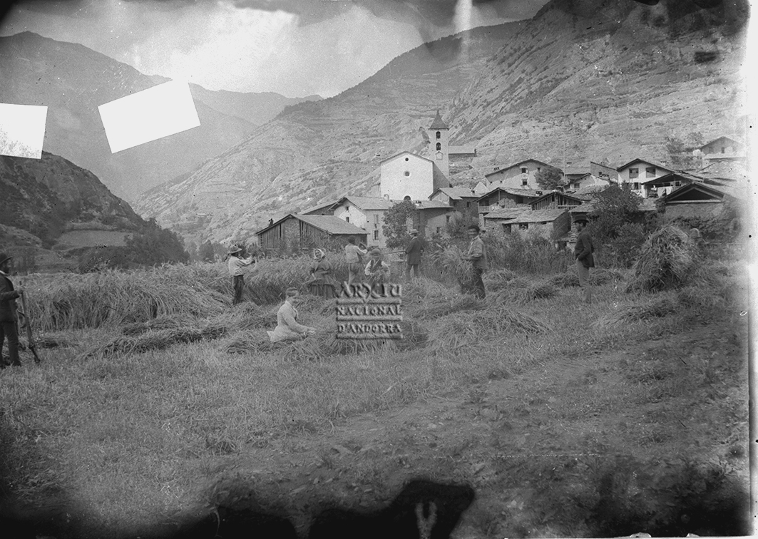 005-CR: Plegant blat i fent garbes a Ordino