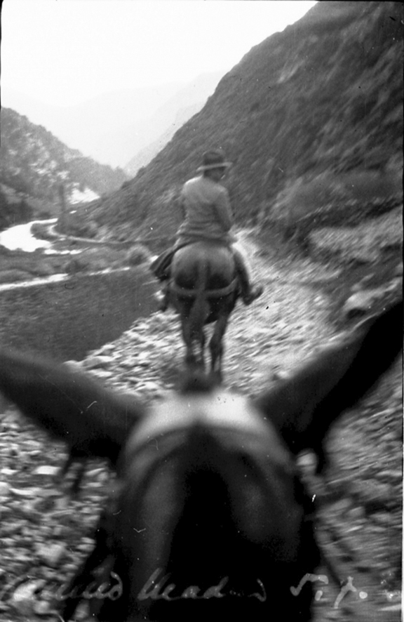 5_FEDA_369: Un home amb cavall