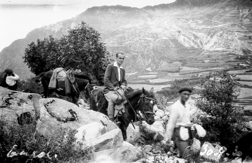 6_FEDA_398: Un mulater mena un cavall