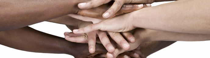 Programa d’ONGS i entitats cíviques sense ànim de lucre