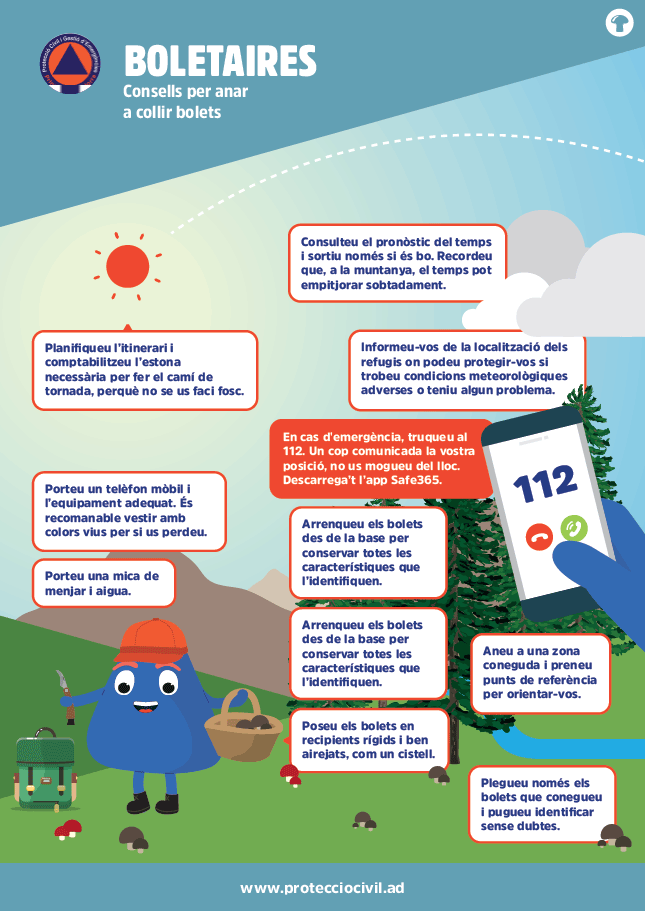 Info Precaució i prudència al bosc