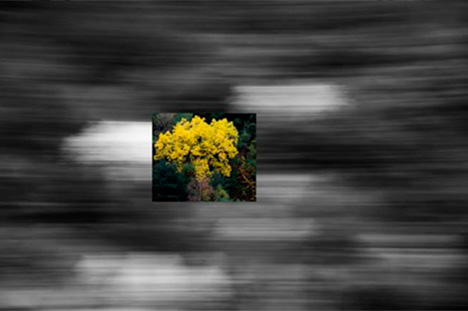 Paisatges de la memòria