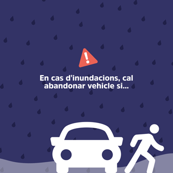Inundacions Cotxe