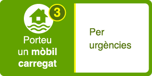 Porteu un mòbil carregat