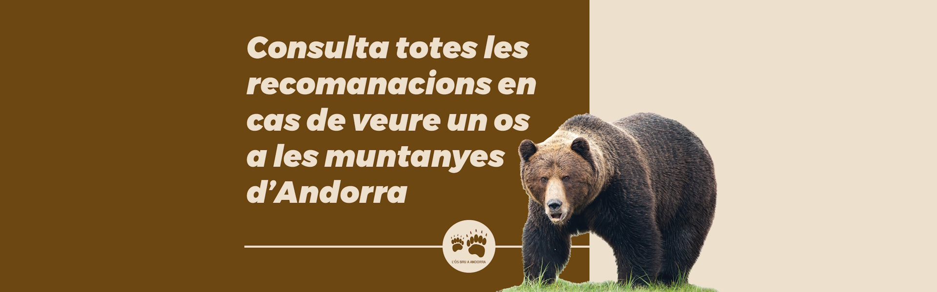 Consulta totes les recomanacions en cas de veure un os a les muntanyes d’Andorra.