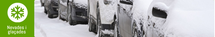 Nevades i glaçades