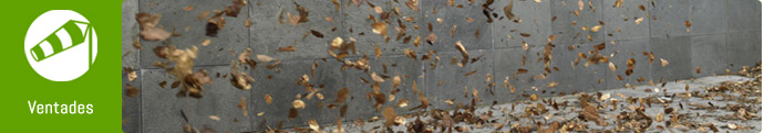 Ventades