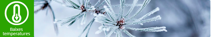 Baixes temperatures