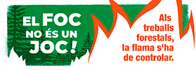 Als treballs forestals, la flama s'ha de controlar.