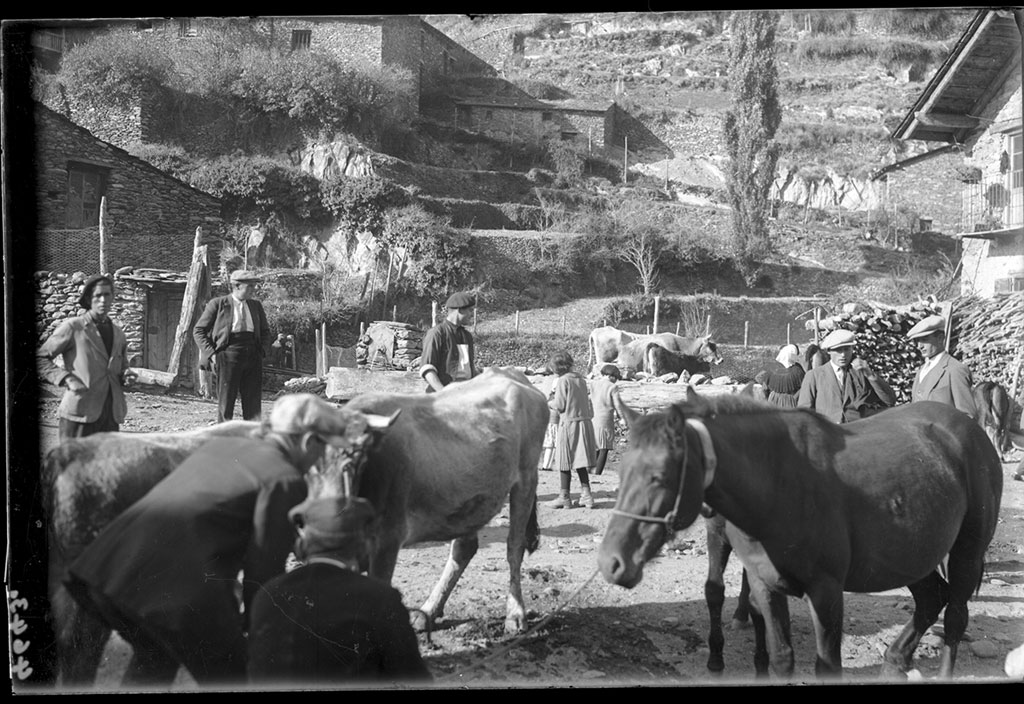 PecaMes Octubre2016 2