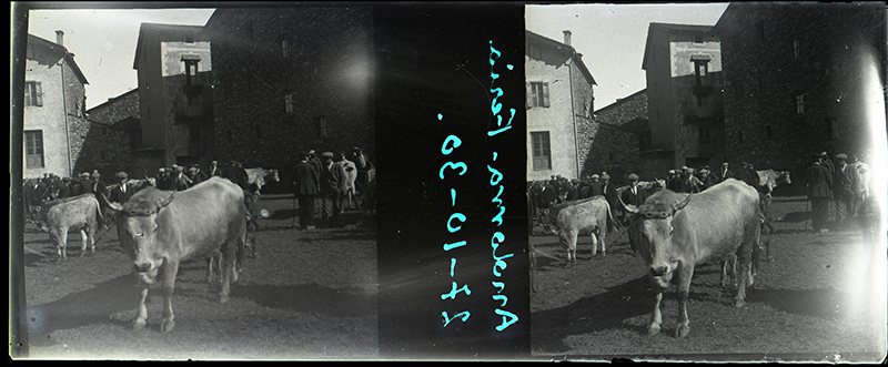 PecaMes Oct2018 1 ACAU FGP 0007