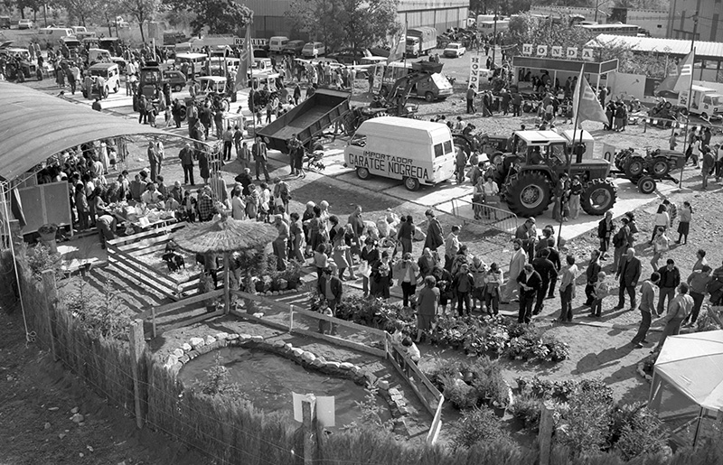 PecaMes Oct2018 11 FP 01047