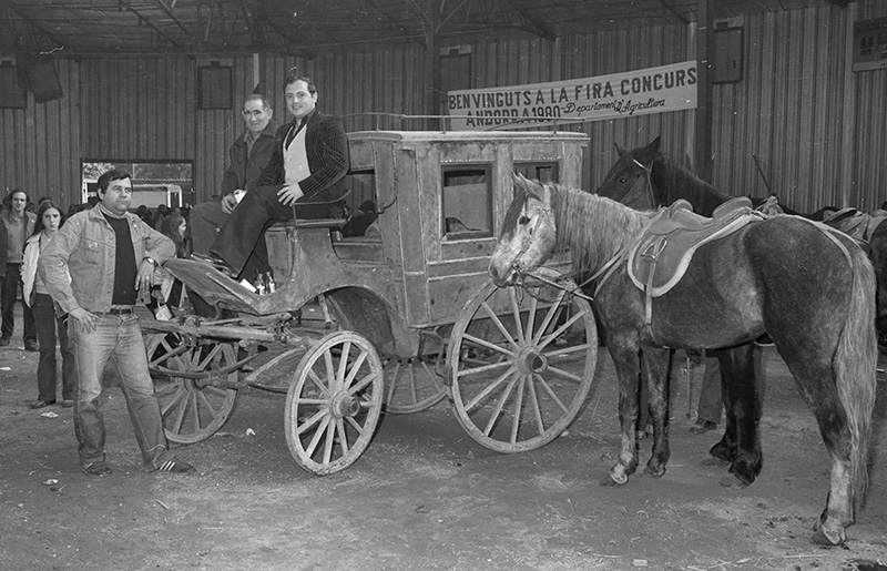 PecaMes Oct2018 12 FP 01099