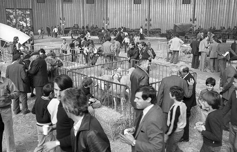 PecaMes Oct2018 13 FP 01102