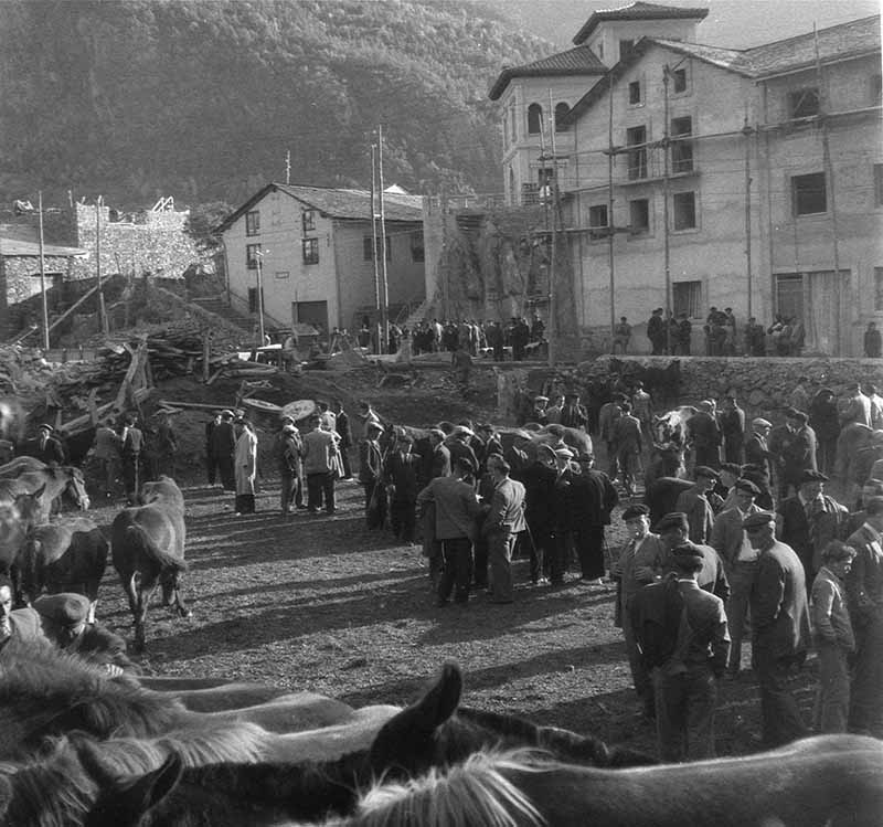 PecaMes Oct2018 3 FAM 0557