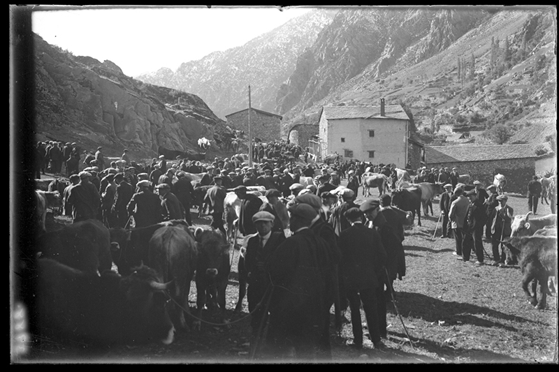 PecaMes Oct2018 4 FGP 0357