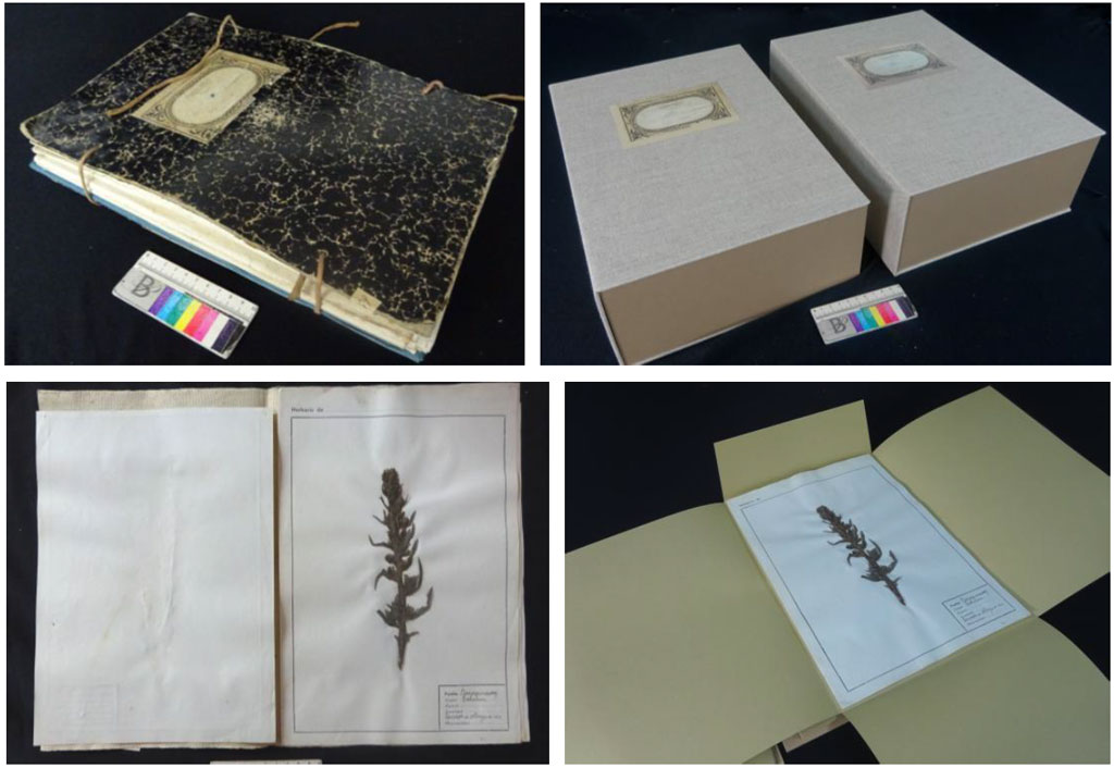 PecaMes Setembre19 01