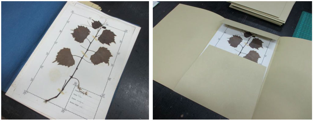 PecaMes Setembre19 02