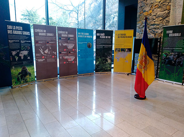 Expo Grands Singes 05