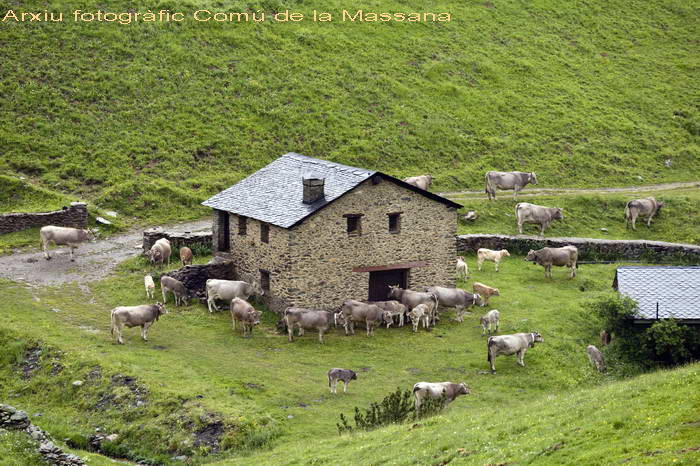 Imagen de Benedicció de les guardes comunes de Setúria
