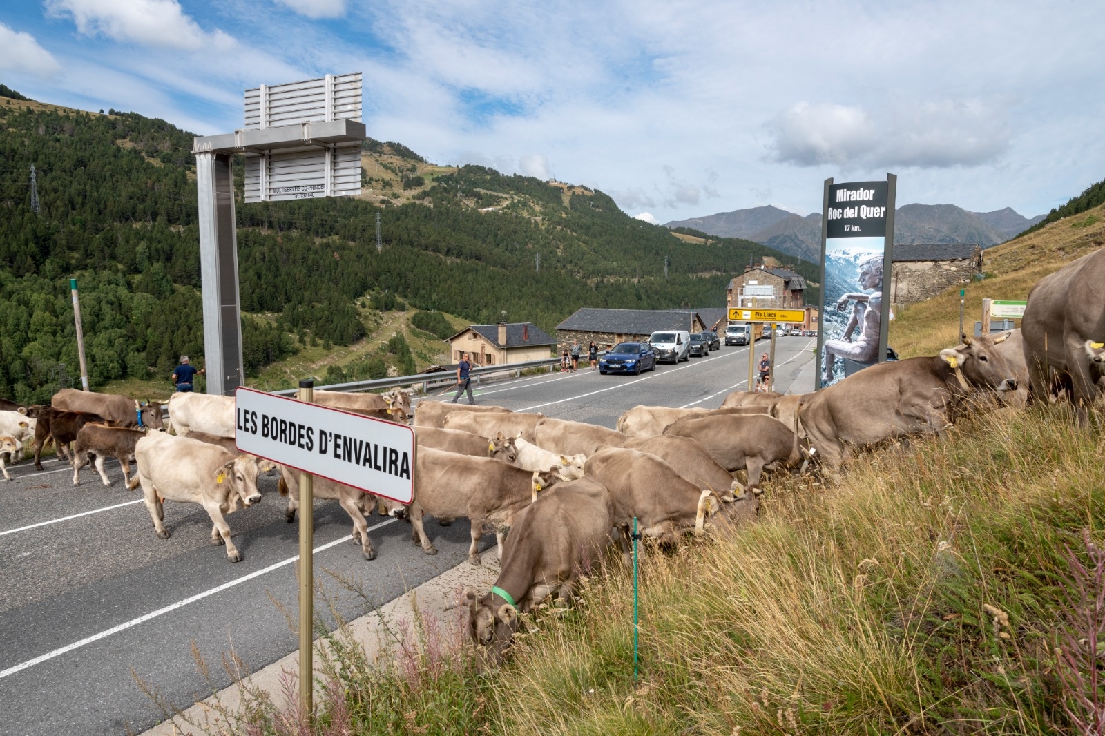 El Govern destina més de 400 mil euros en concepte d’ajut al foment del dall dels prats