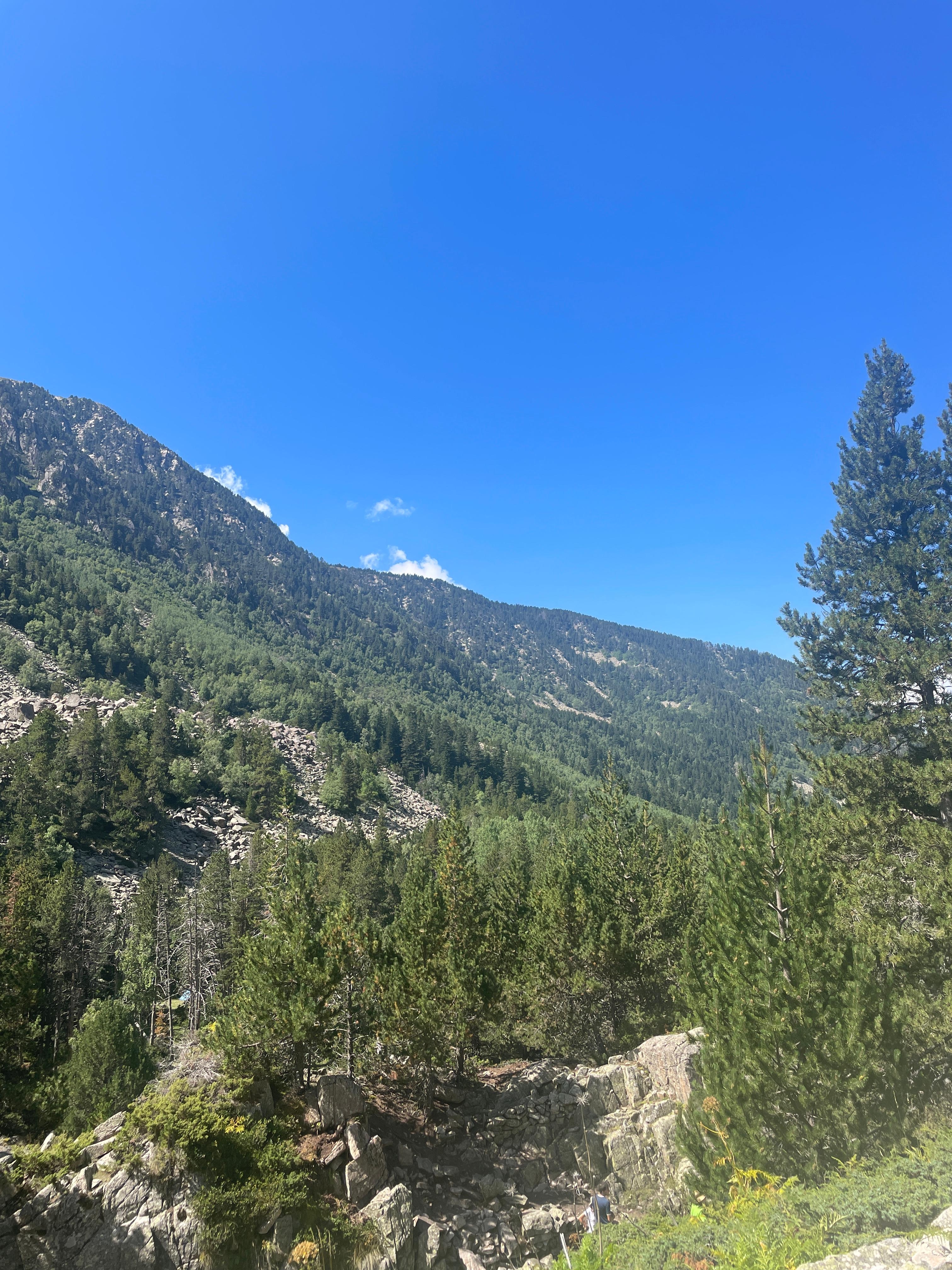 Protecció Civil i Bombers fan un balanç positiu de la campanya estival de prevenció forestals