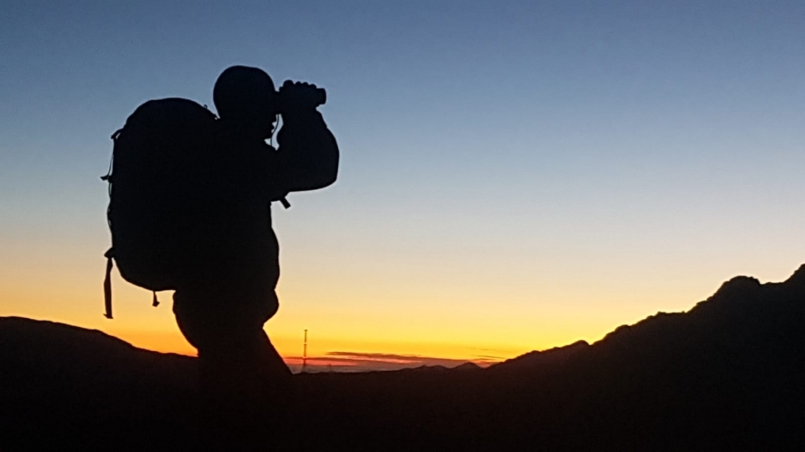 La setmana de la caça de l’isard clou amb més del 80% del pla de captures permeses