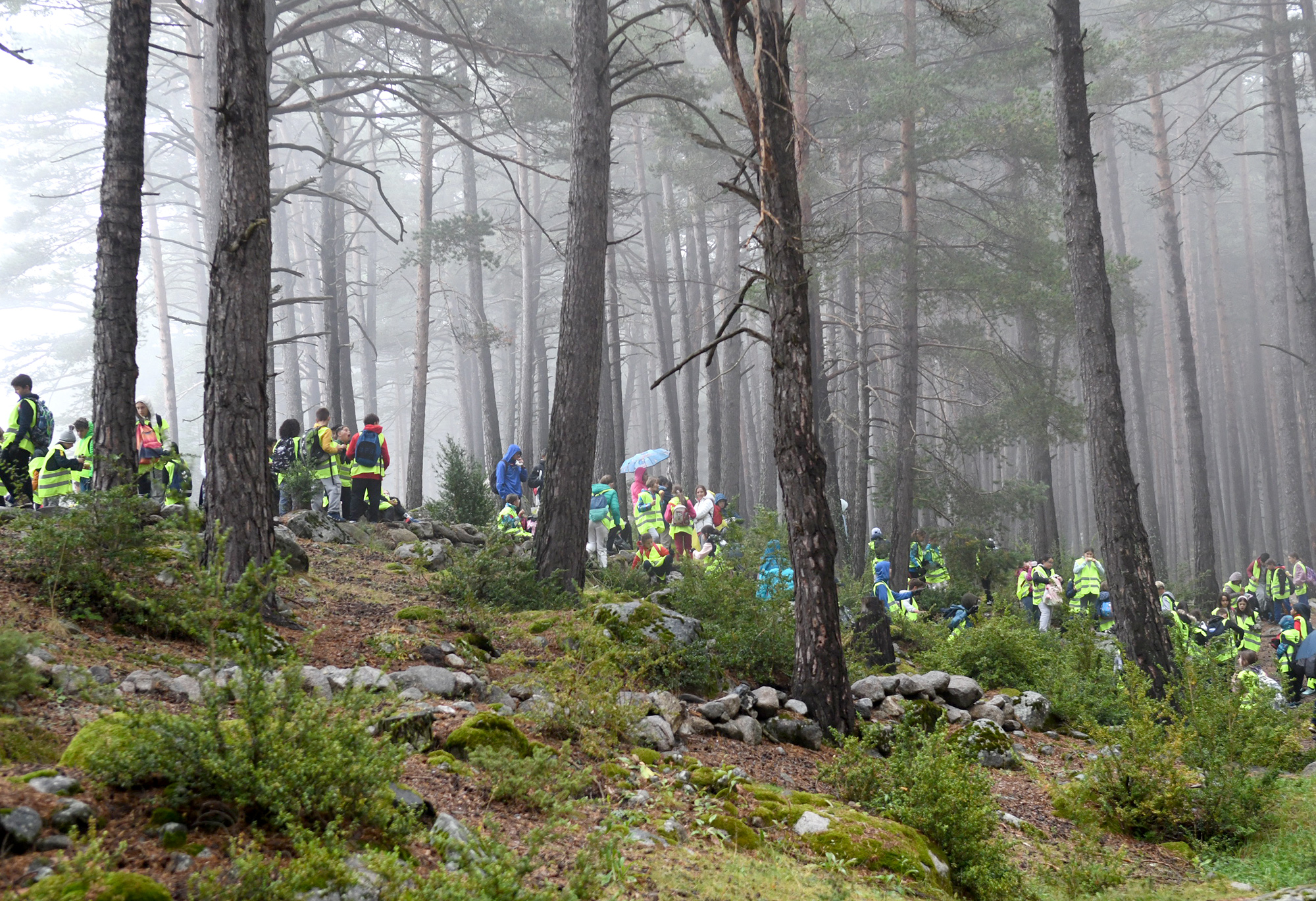 Més de 1.700 alumnes participen en la campanya de recollida de residus a la natura