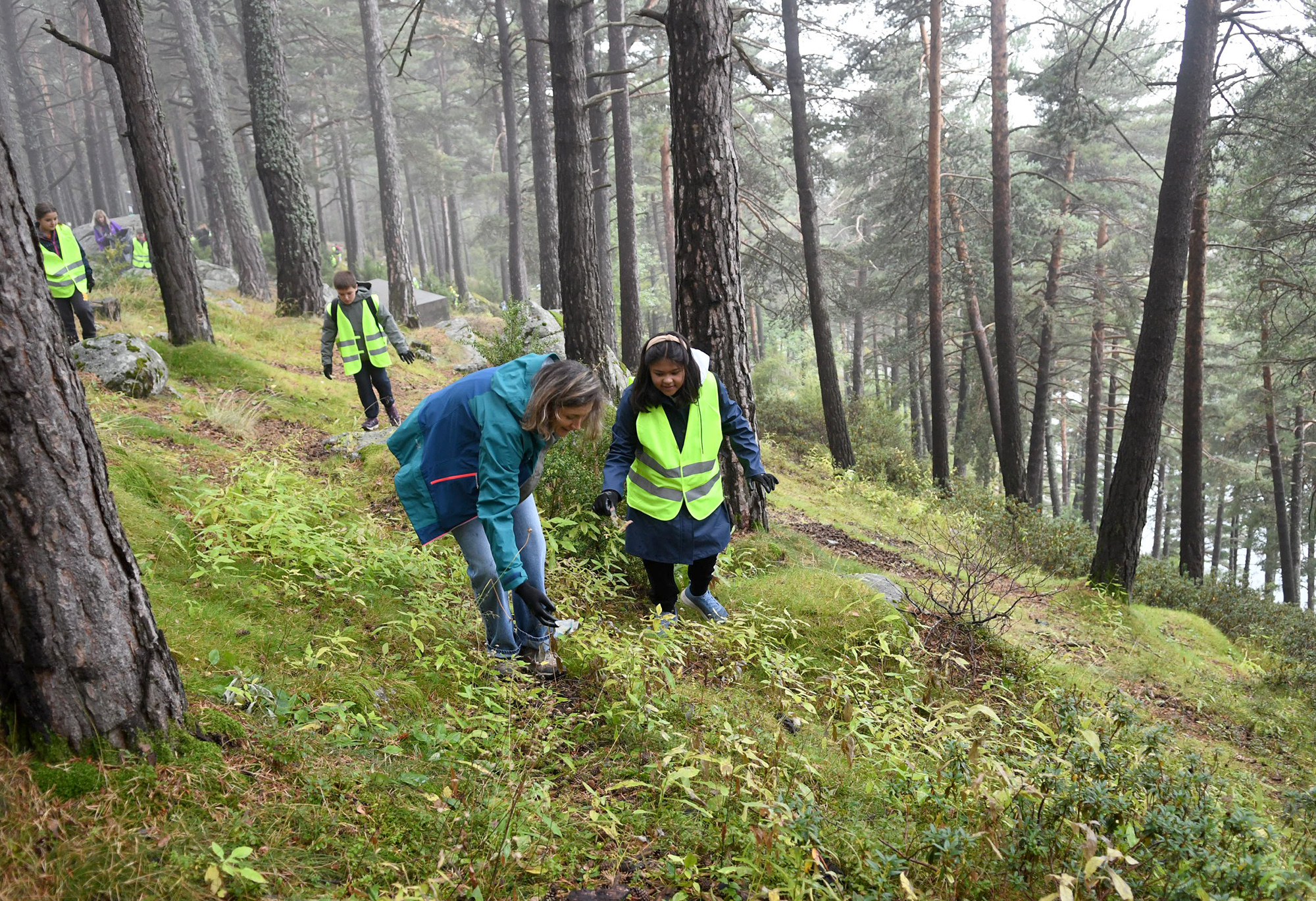 Més de 1.700 alumnes participen en la campanya de recollida de residus a la natura