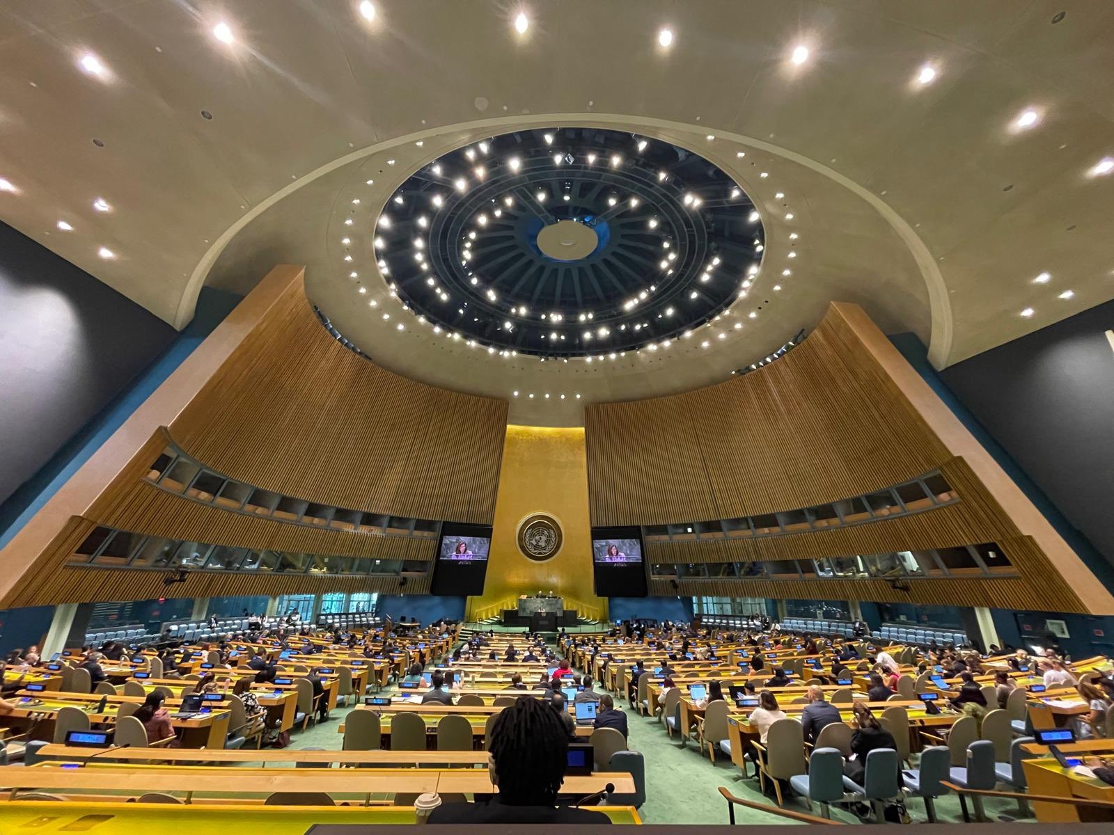 L’Assemblea General de l’ONU adopta per consens la resolució del multilingüisme cofacilitada per Andorra