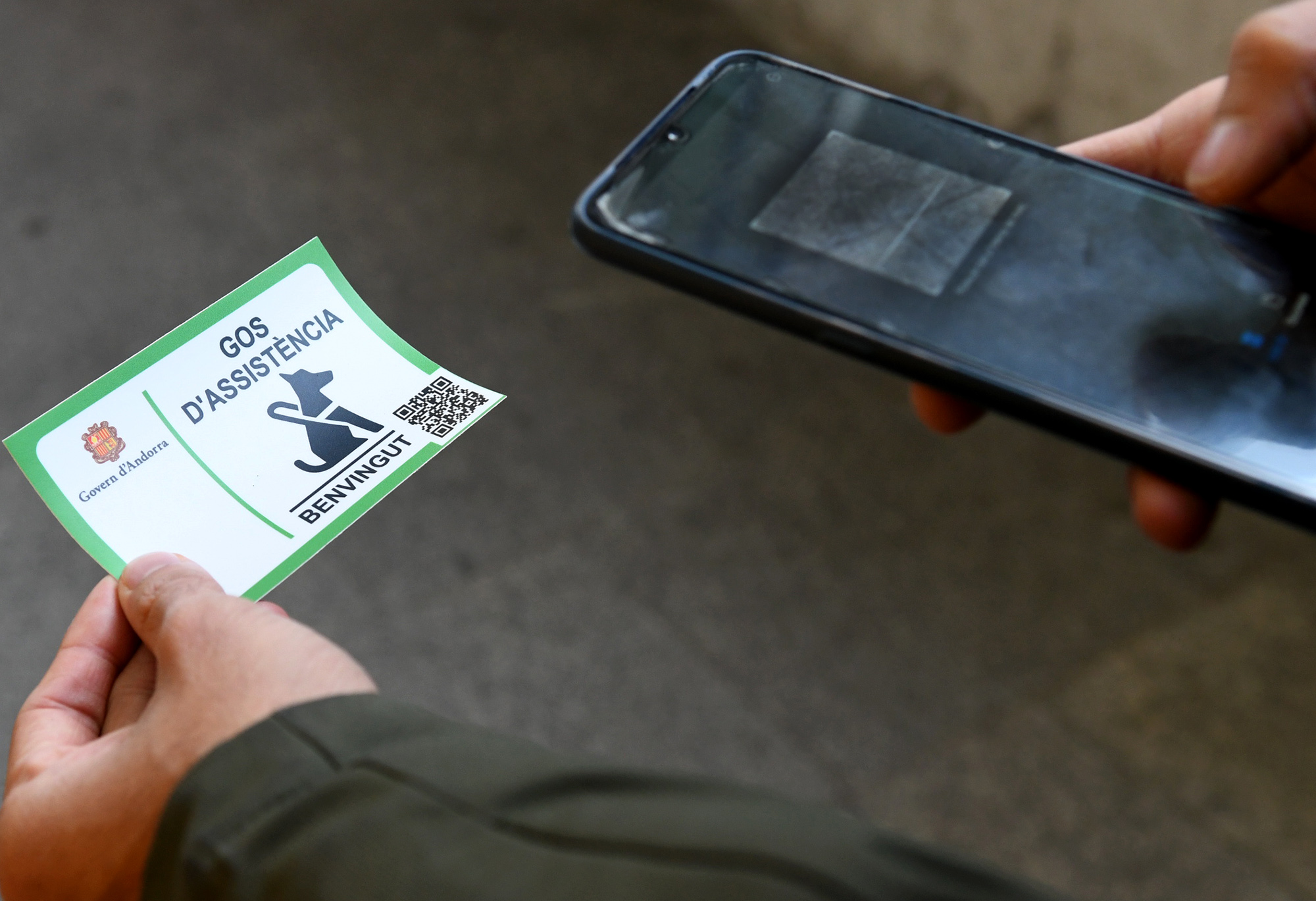 El Govern impulsa una campanya divulgativa sobre l’accés lliure de les persones amb discapacitat que requereixen el suport de gossos d’assistència