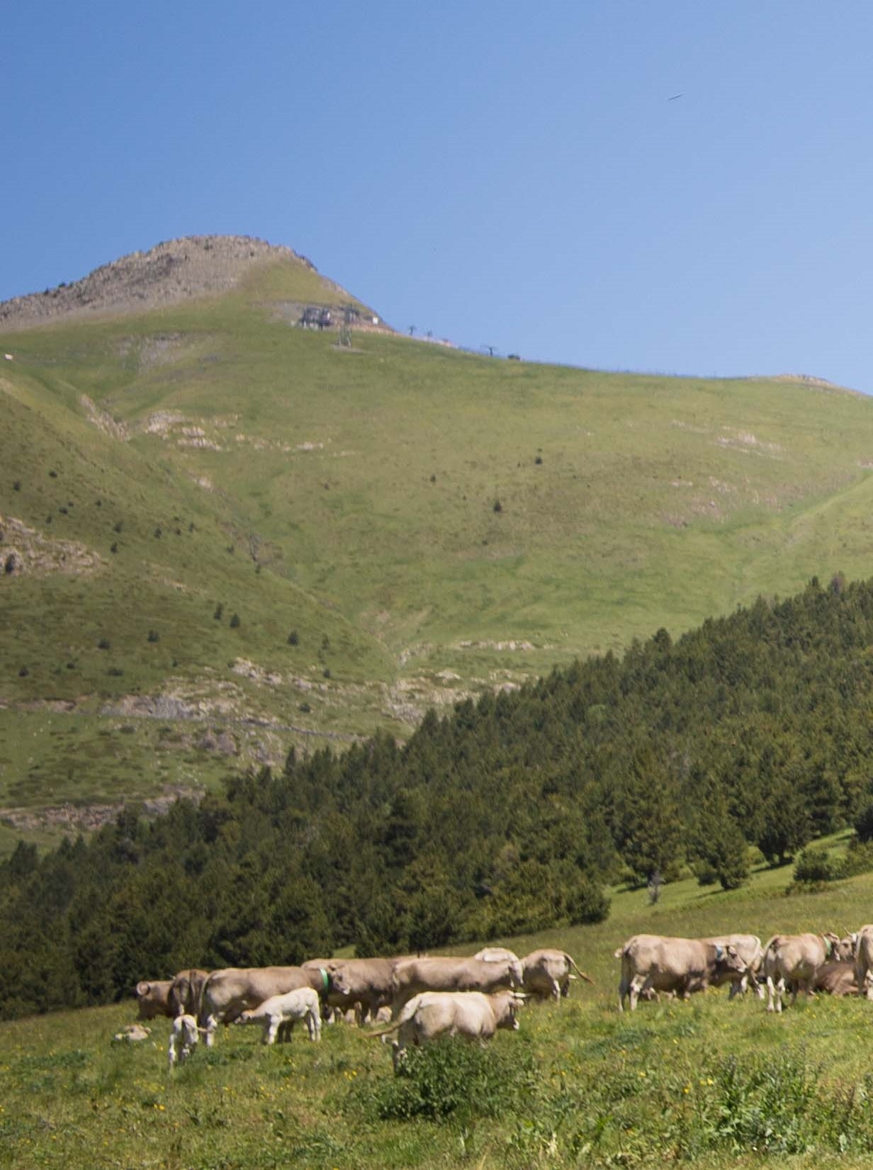 Agricultura adjudica els ajuts per al manteniment de la biodviersitat
