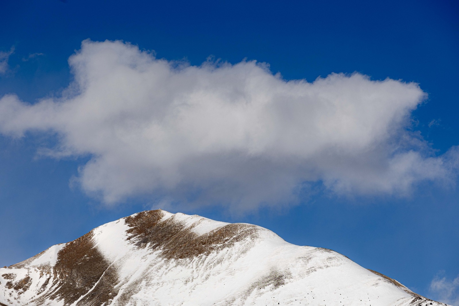 El Govern promou la mobilitat dels ambaixadors i amplia la representació diplomàtica al màxim de països europeus