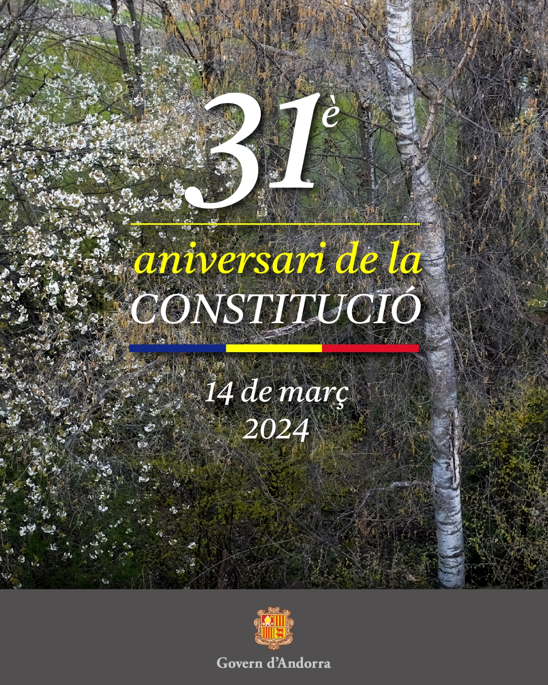 Salutació del cap de Govern, Xavier Espot, amb motiu del 31è aniversari de la Constitució