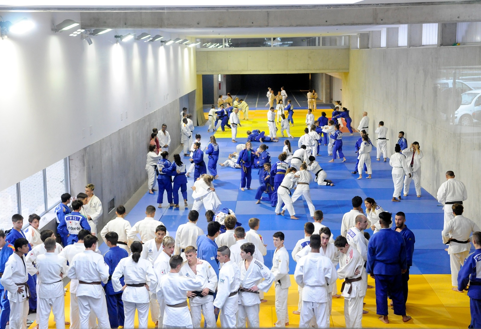 Es convoquen les subvencions per a l’any 2024 destinades a les federacions, entitats i clubs esportius