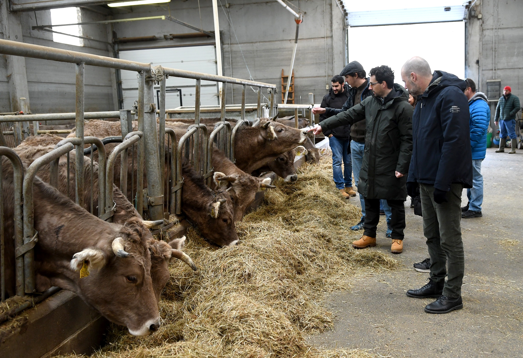 Els ajuts a la ramaderia s’incrementen fins als 3,5 milions anuals per contribuir a garantir la supervivència del sector