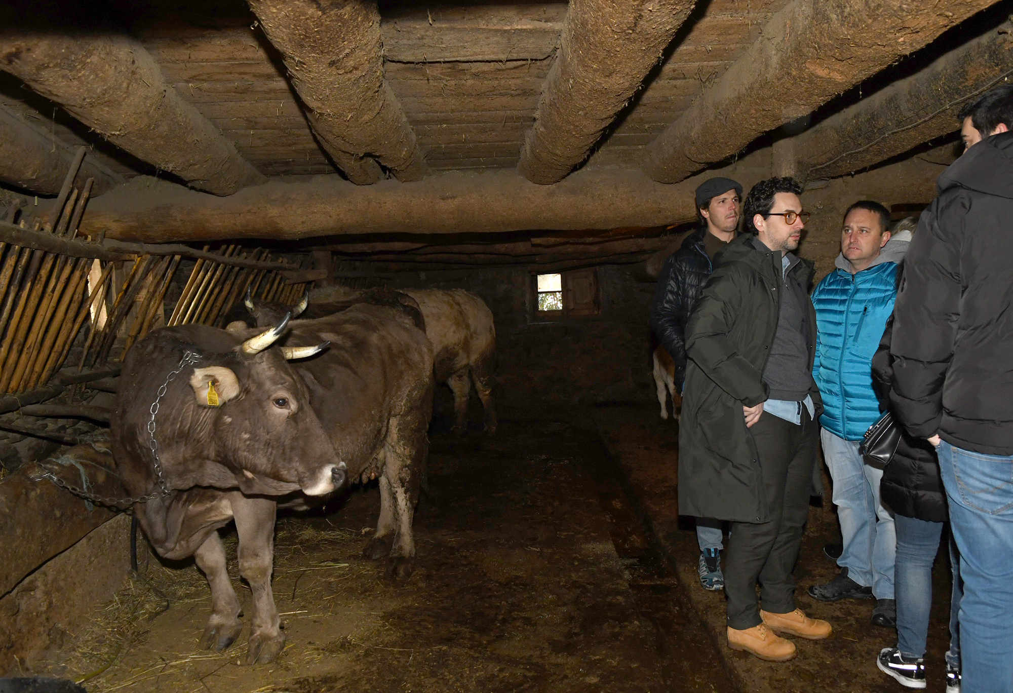 Els ajuts a la ramaderia s’incrementen fins als 3,5 milions anuals per contribuir a garantir la supervivència del sector